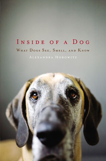 http://insideofadog.com/images/Inside-of-a-Dog-cover.jpg